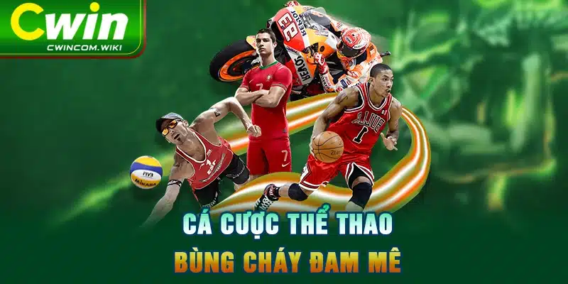 Cá cược thể thao - Bùng cháy đam mê